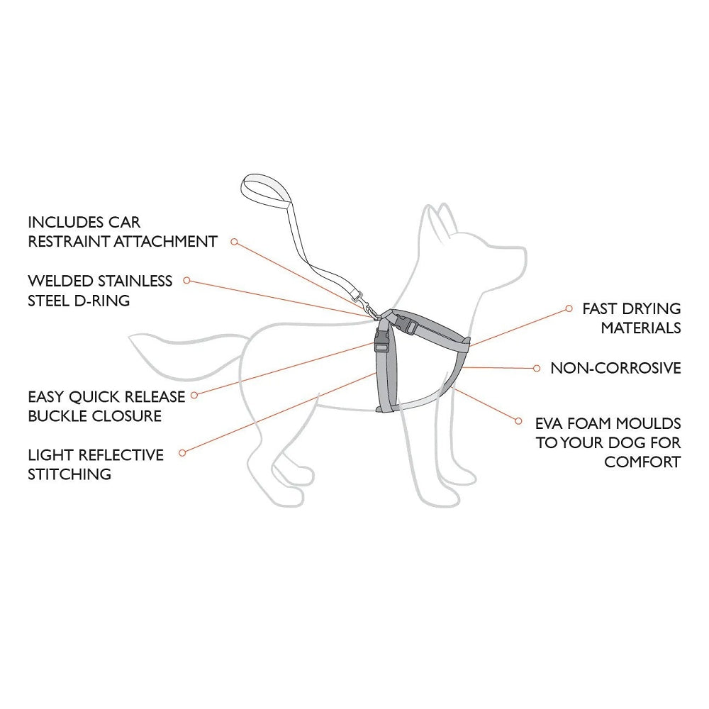 Chestplate Dog Harness - Image 13