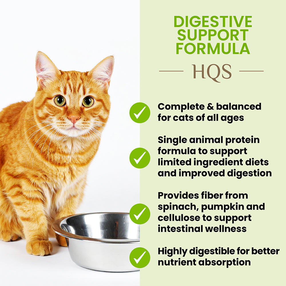 HQS Digestive Support Formula - Spinach In Gravy Cat Can - Image 2