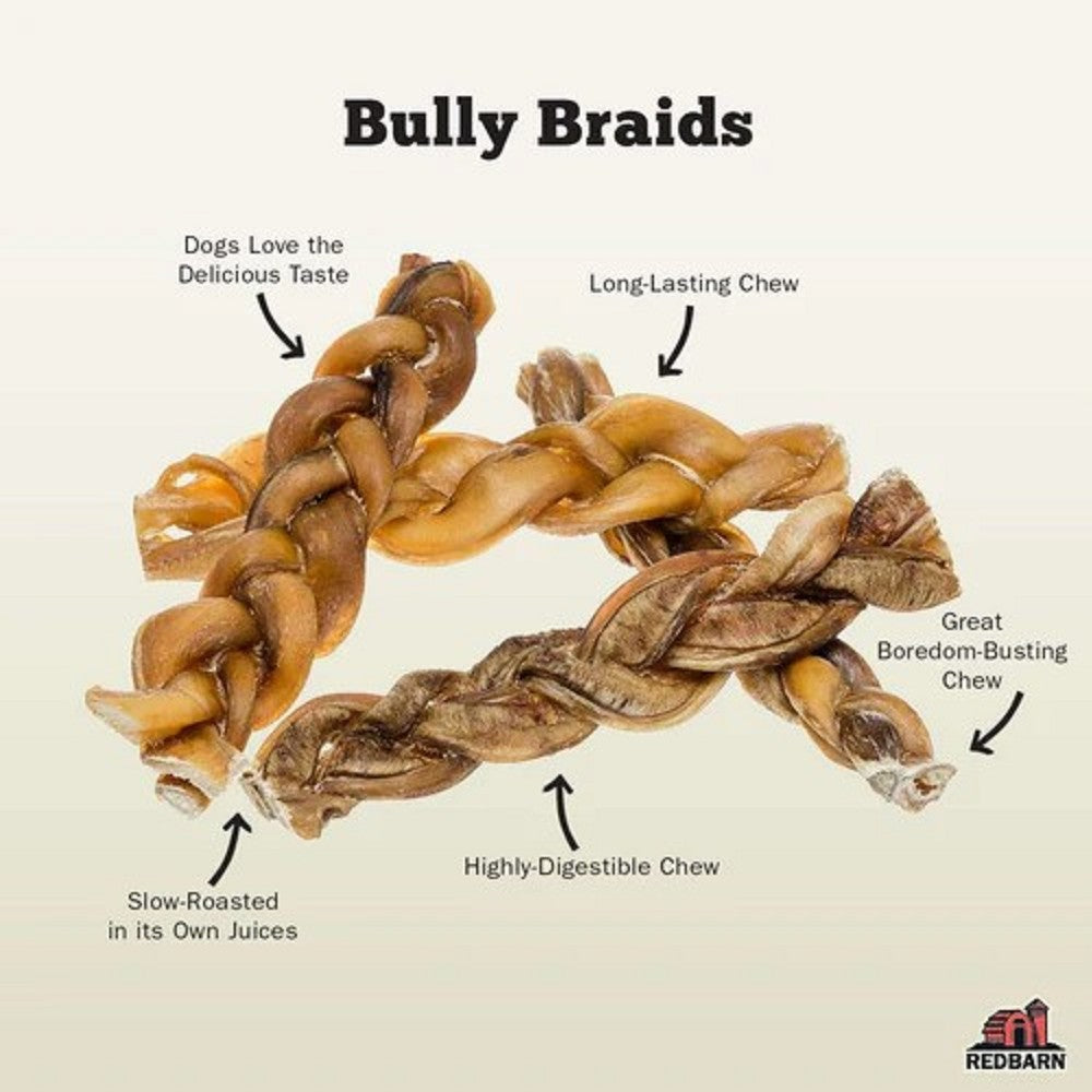 Braided Bully Stick Dog Dental Chew - Image 2