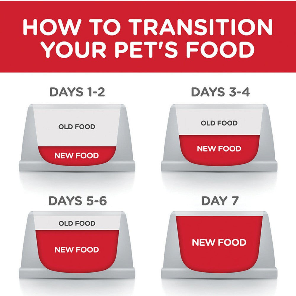 Science Diet - Everyday Diet - Chicken Meal, Barley & Rice Adult 7+ Dog Dry Food - Image 6
