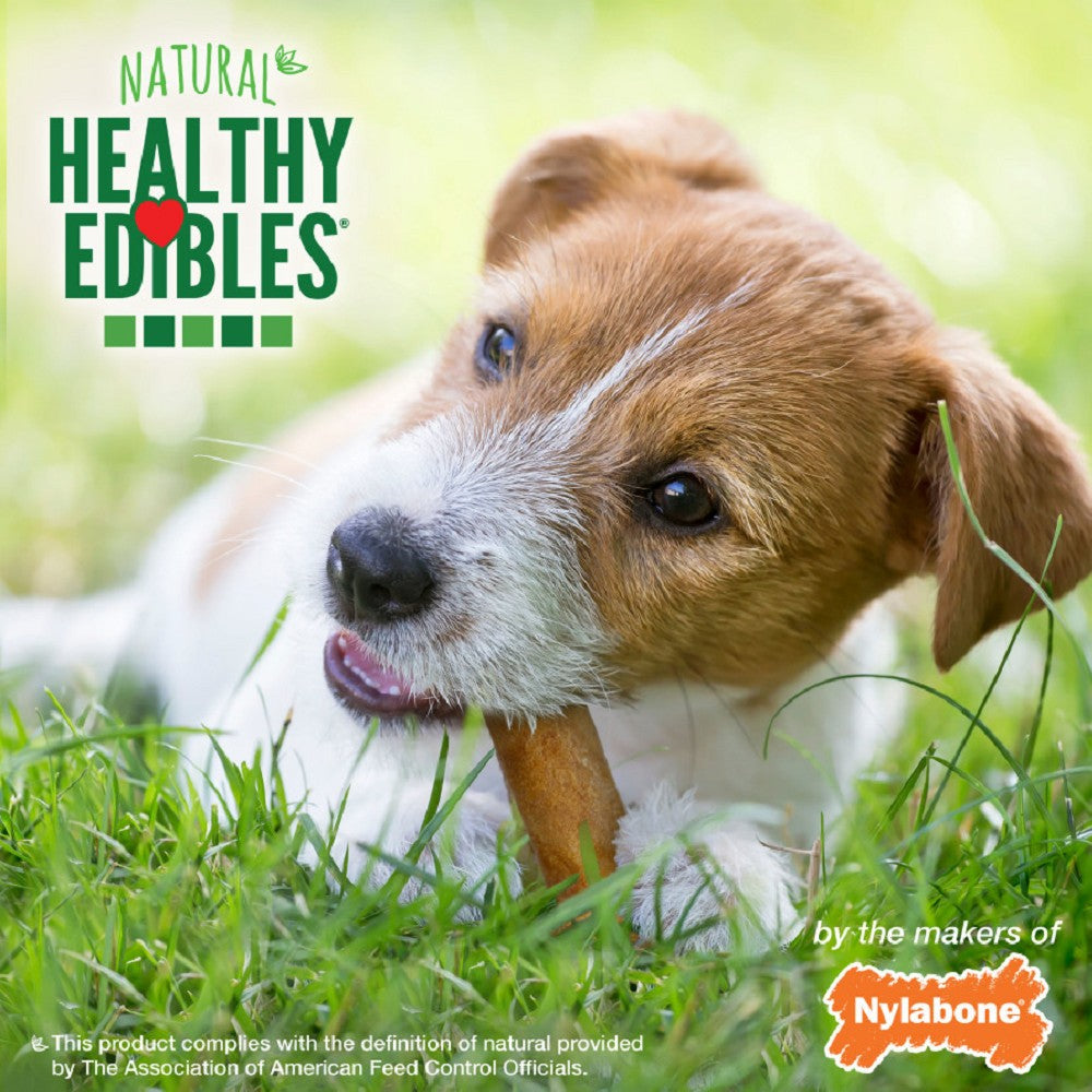 Healthy Edibles Chicken Flavor Dog Dental Chews - Image 7