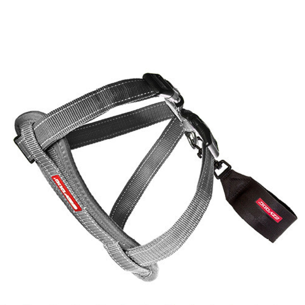 Chestplate Dog Harness - Image 3