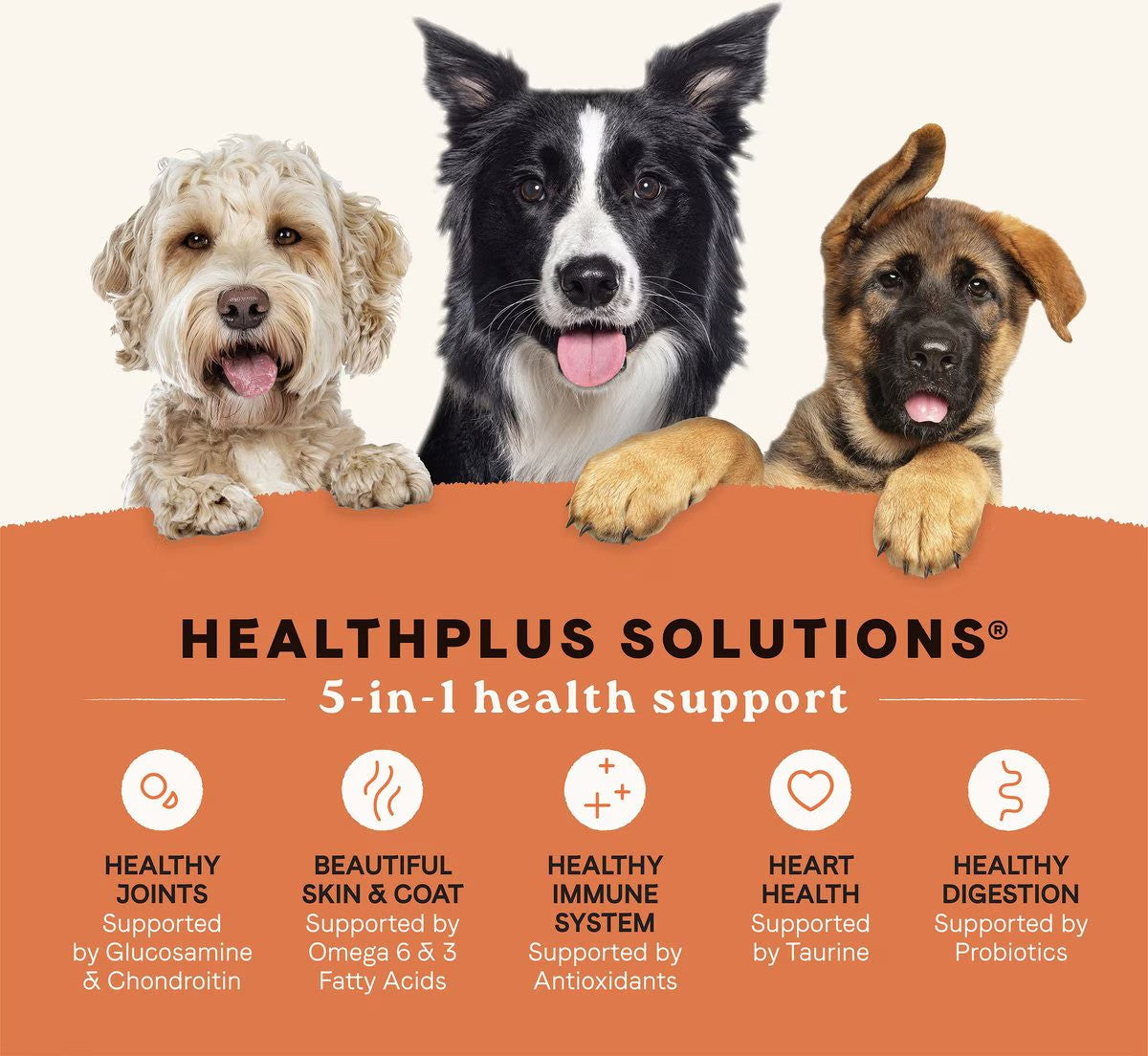 All Life Stages - Multi-Protein Formula Chicken, Turkey and Lamb Dog Dry Food - Image 8