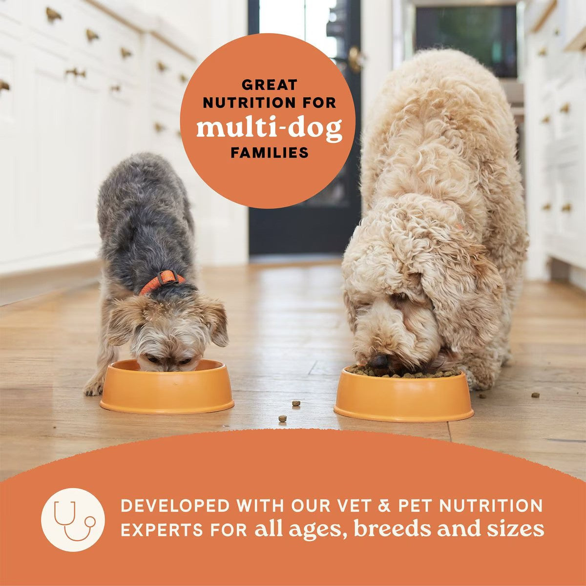 All Life Stages - Multi-Protein Formula Chicken, Turkey and Lamb Dog Dry Food - Image 9