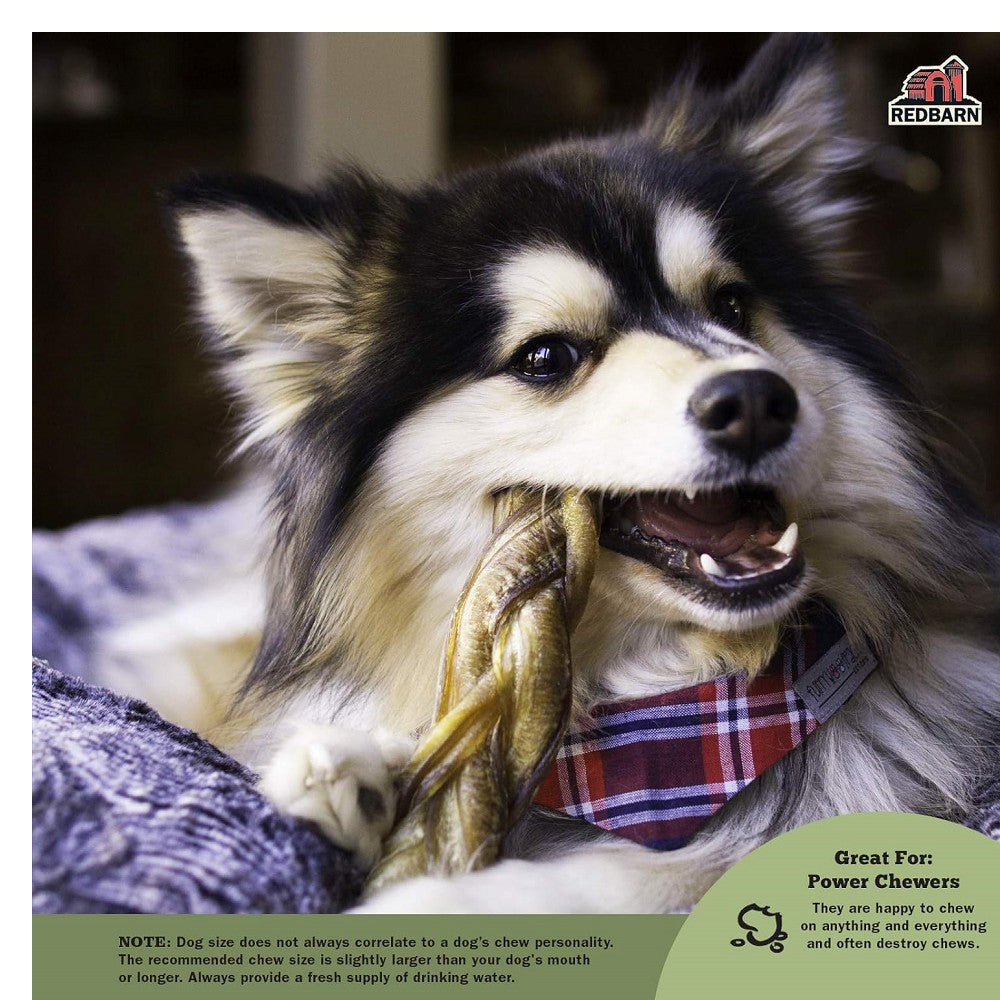 Braided Bully Stick Dog Dental Chew - Image 5