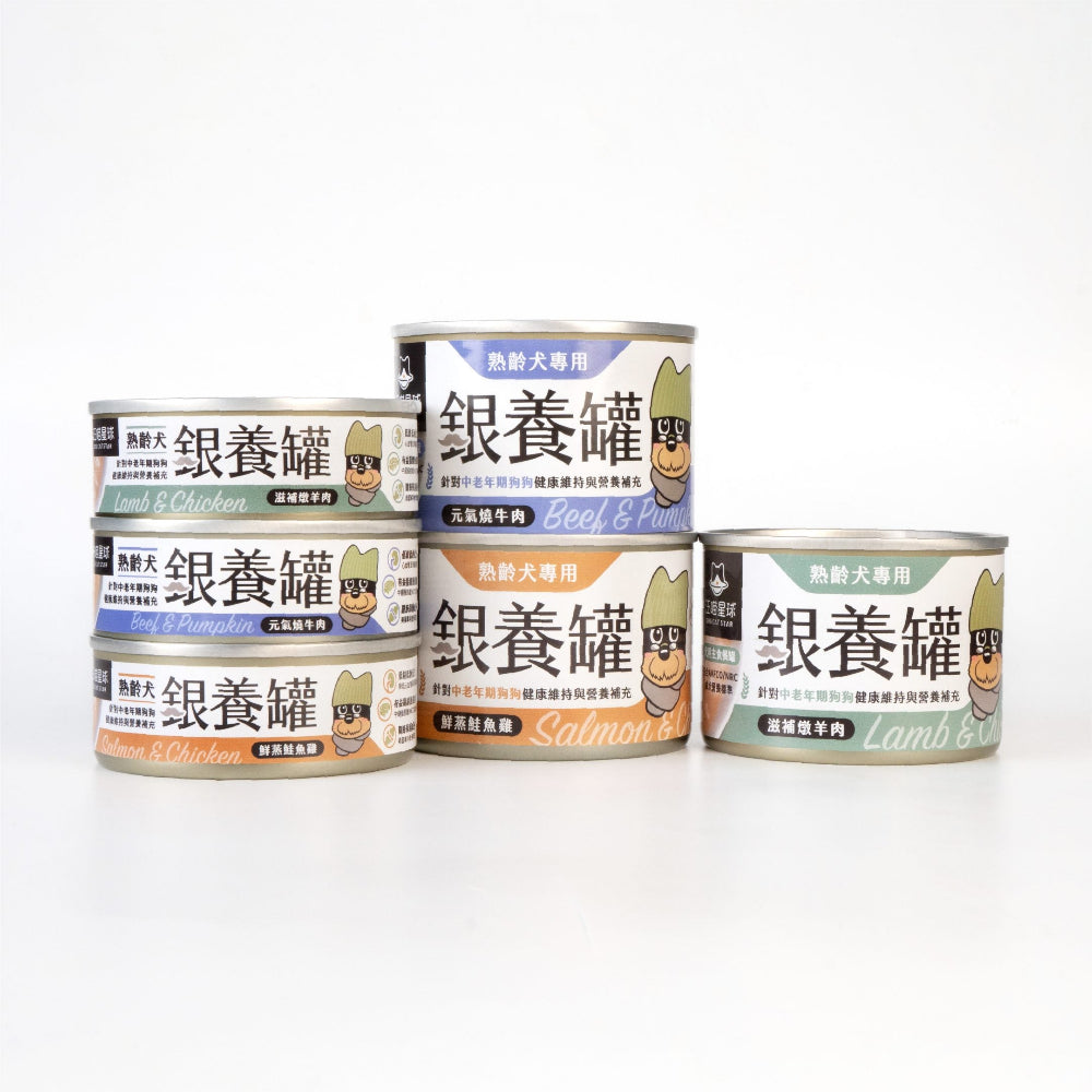 Salmon & Chicken Complete Balanced Senior Dog Can - Image 2