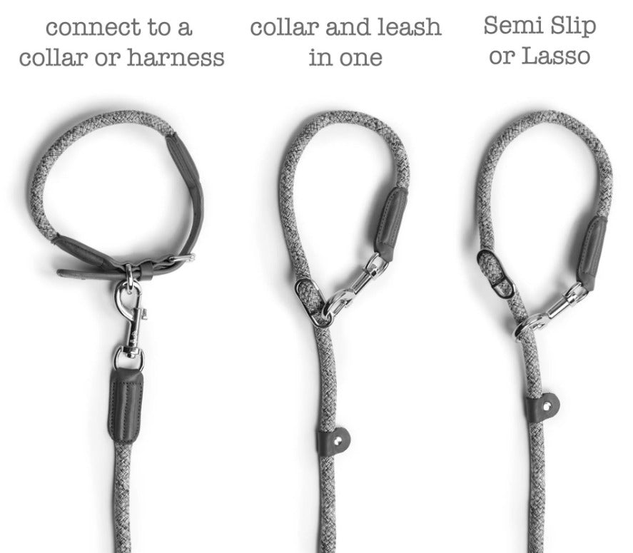 Metro Collar & Slip Leash - Image 7