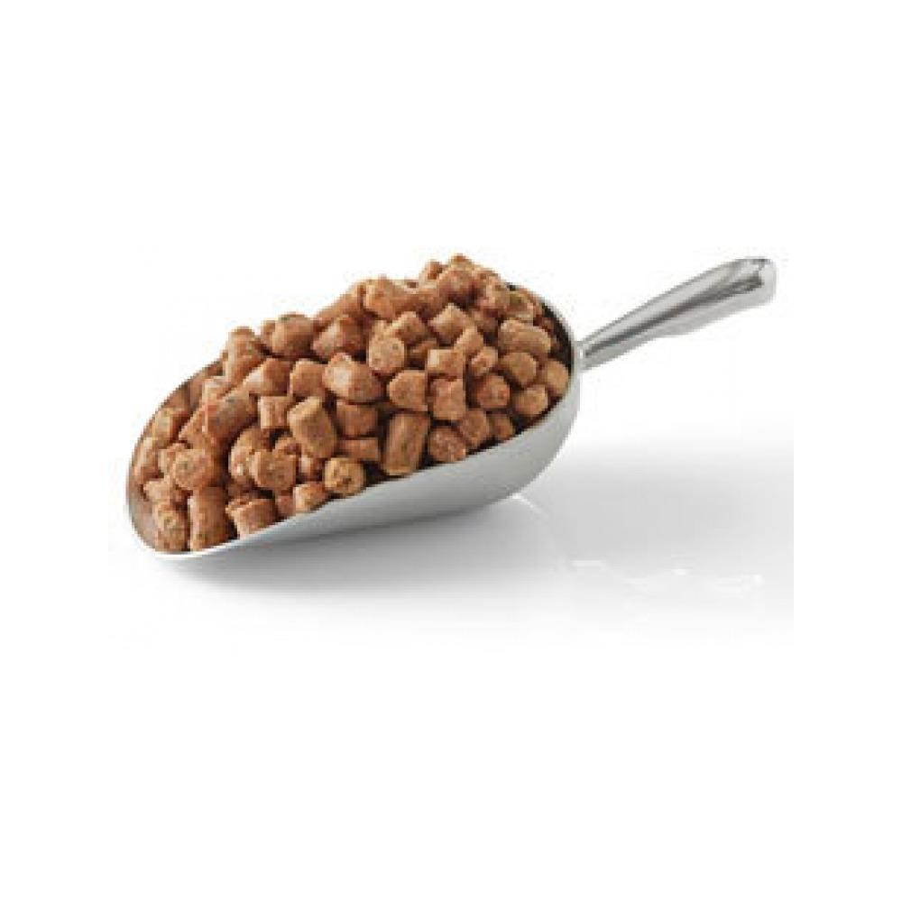 Frozen Turkey & Sardine Dog Food - Image 3