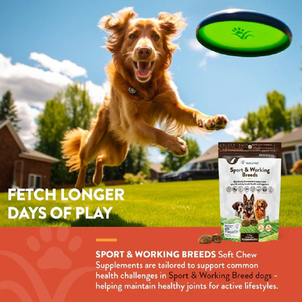 Specifically Supplement for Sport & Working Breed Dogs - Image 3