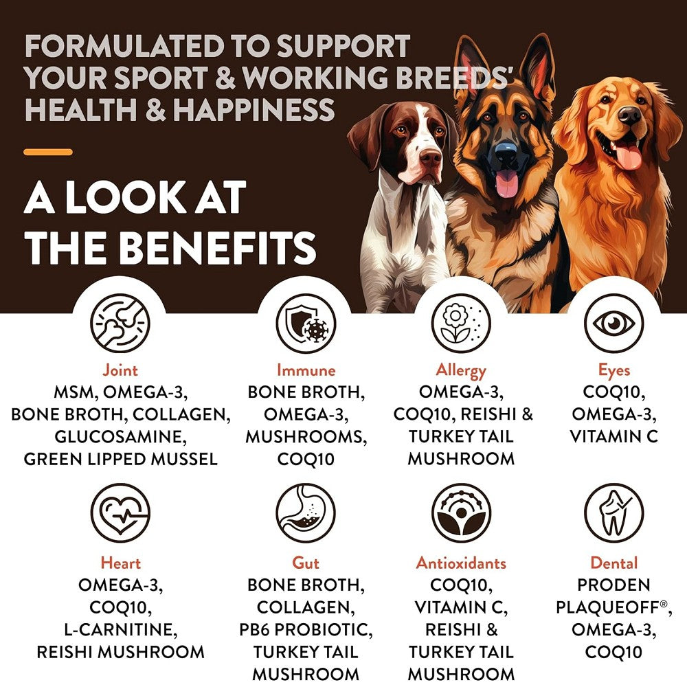 Specifically Supplement for Sport & Working Breed Dogs - Image 4