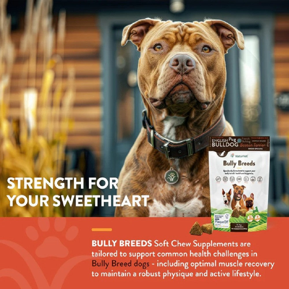 Specifically Supplement for Bully Breed Dogs - Image 3