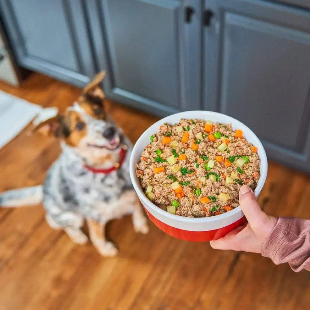 Frozen FreshMade Beefy-Licious Dog Food - Image 4