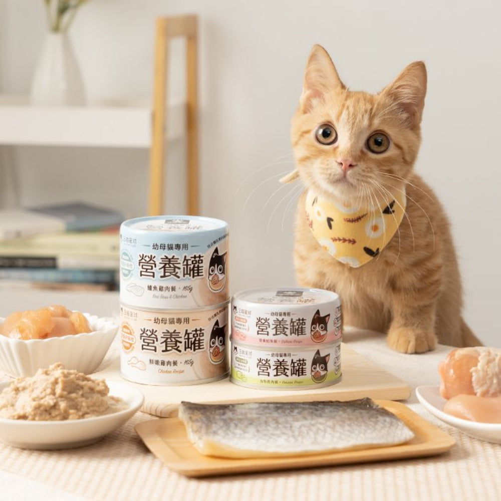 Perch and Chicken Complete Balanced Kitten Cat Can - Image 3