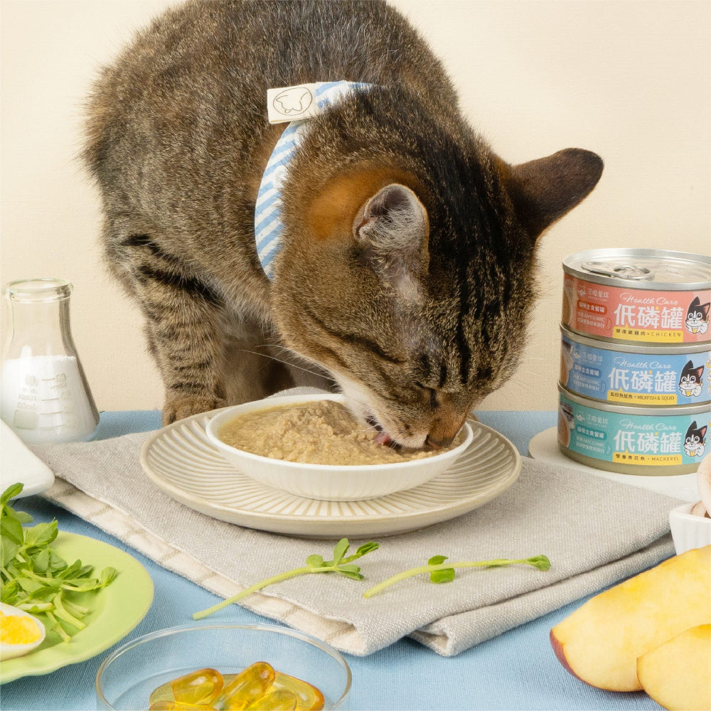Health Care - Low Phosphorus Mackerel Complete Balanced Cat Can - Image 4