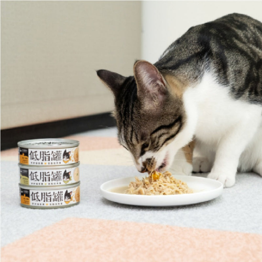 Pumpkin & Chicken Complete Balanced Cat Can - Image 3