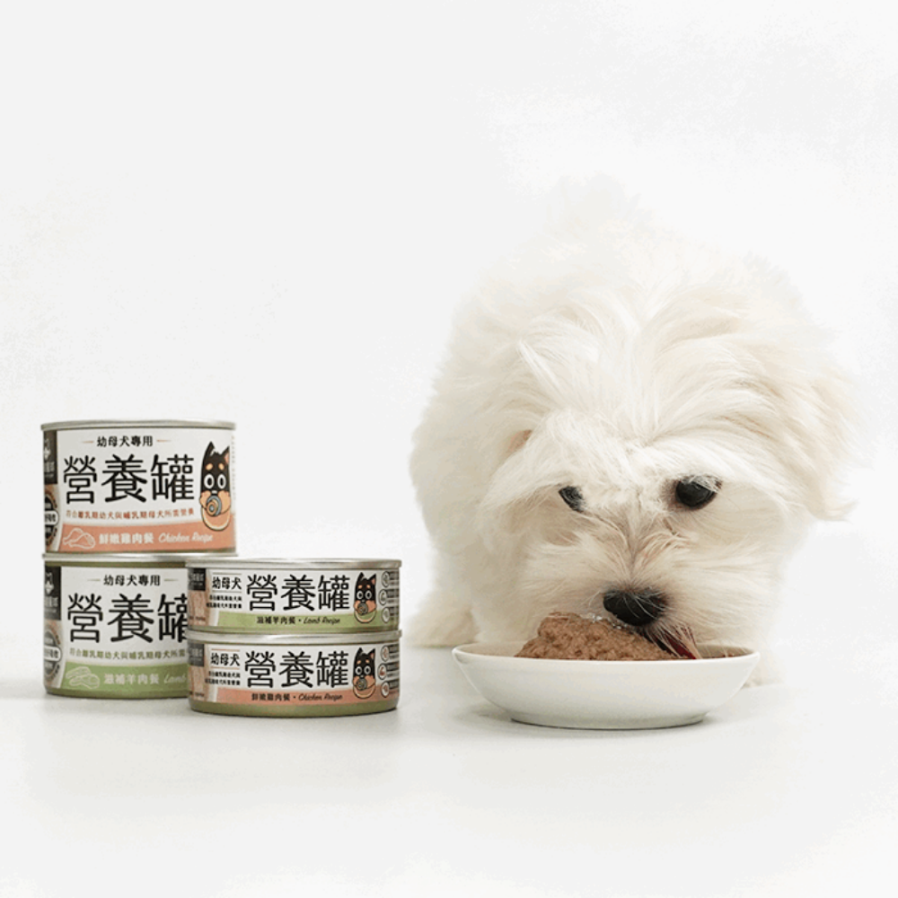 Chicken Complete Balanced Puppy Dog Can - Image 4