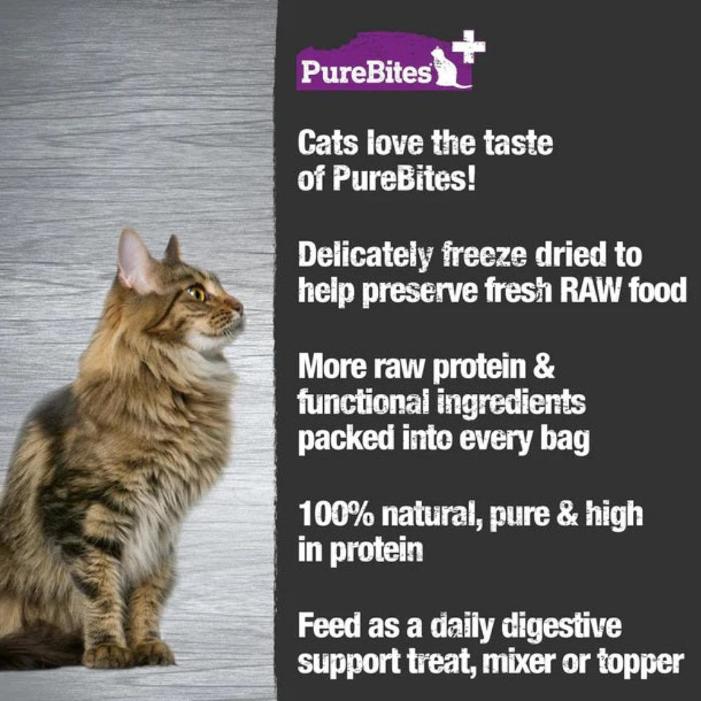 Functional Gut & Digestion Freeze Dried Cat Treats - Image 3