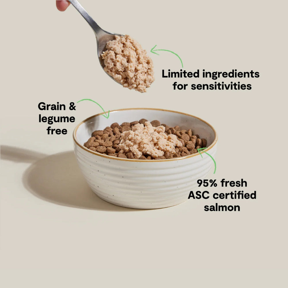Silky Mousse Salmon Tasty Meal Topper for Cats - Image 3