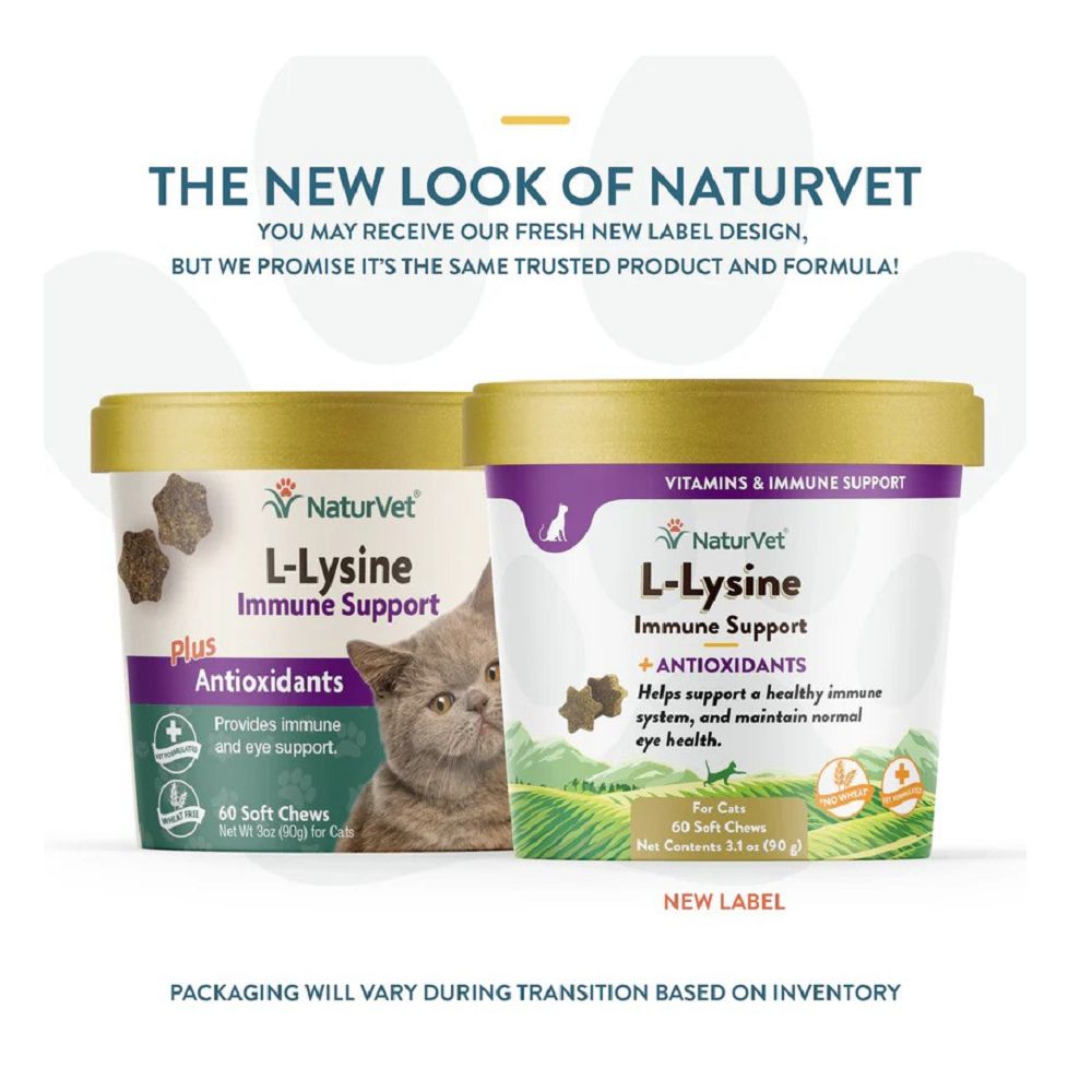 L-Lysine Plus Antioxidants Cat Soft Chews - Image 5