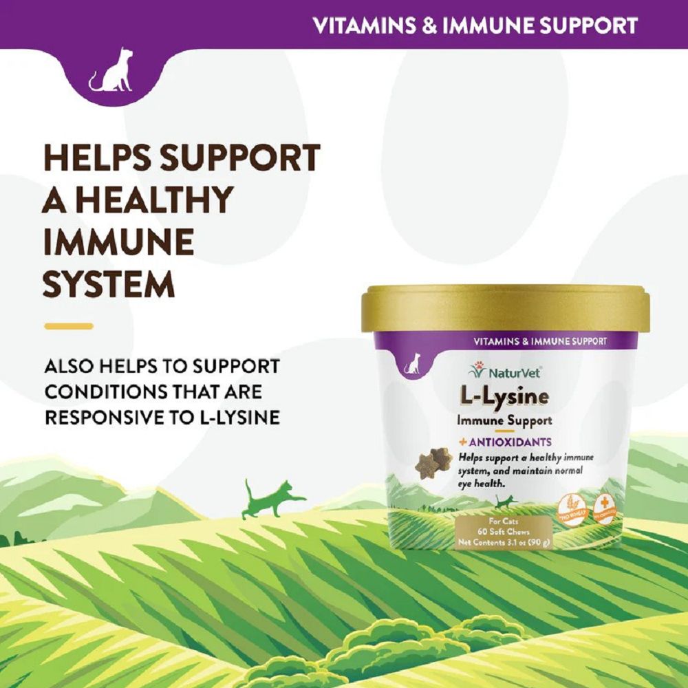 L-Lysine Plus Antioxidants Cat Soft Chews - Image 2