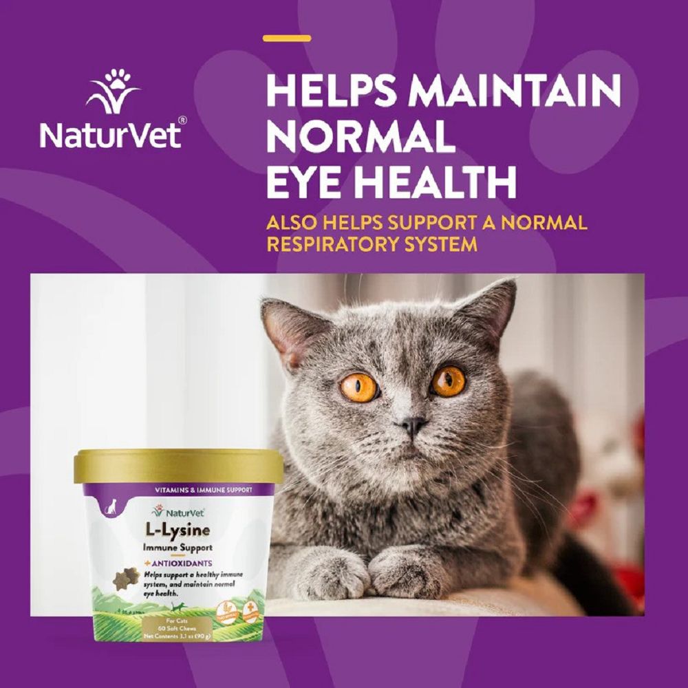 L-Lysine Plus Antioxidants Cat Soft Chews - Image 3