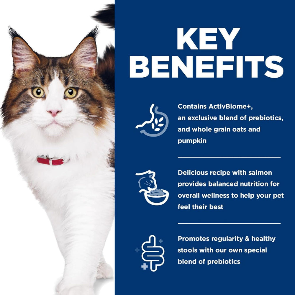 Science Diet - Specialty Prefect Digestion Salmon Adult 1-6 Cat Dry Food - Image 4