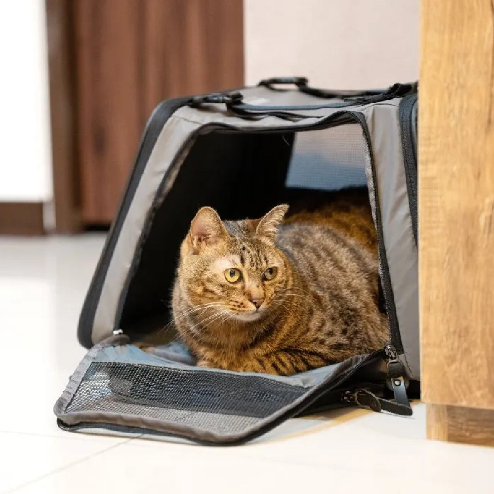 Carrier for Pets - Image 4