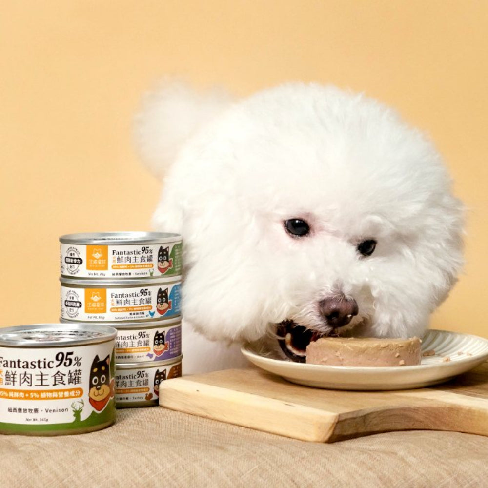 Fantastic 95% - Country Turkey Complete Balanced Dog Can - Image 5
