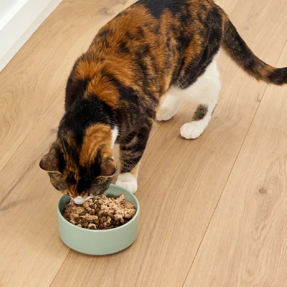 Silky Mousse Salmon Tasty Meal Topper for Cats - Image 5