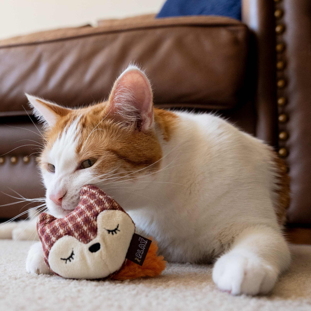 Forest Friends - Fox & Bunny Cat Toy Set - Image 4