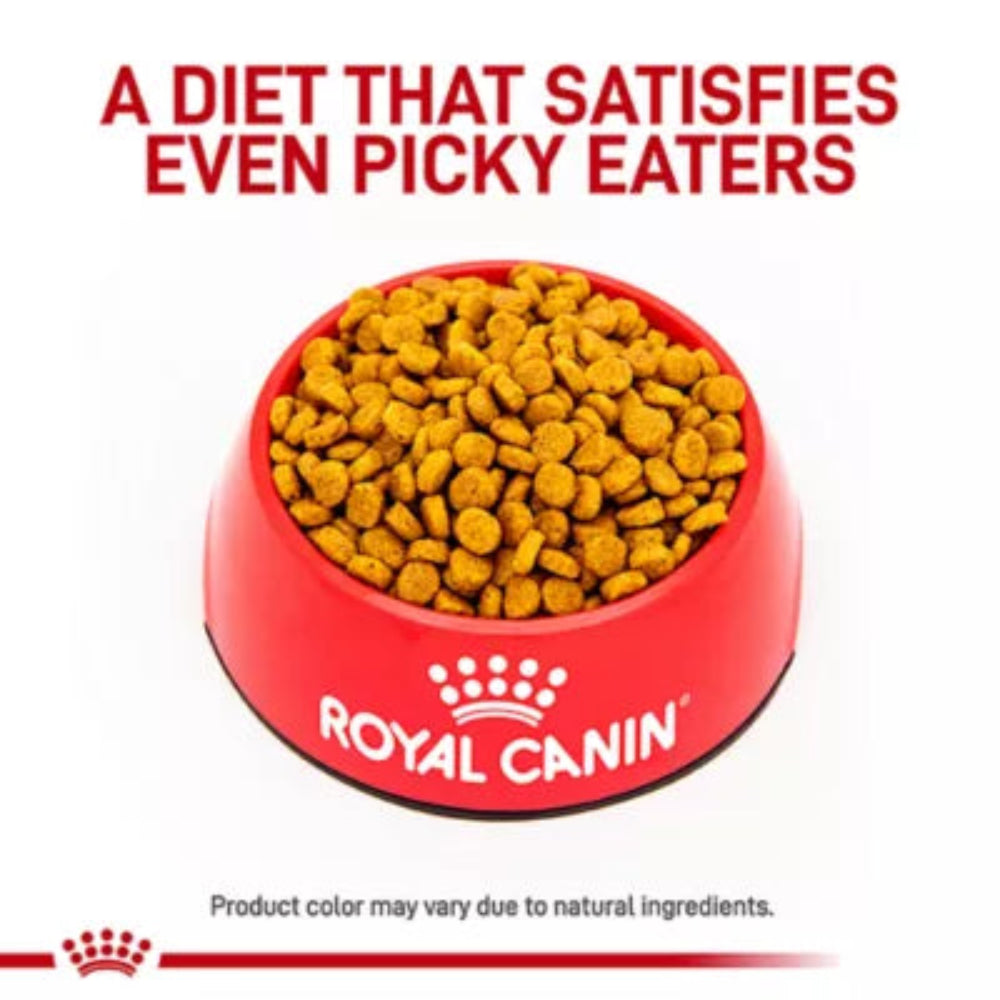 VHN Hepatic Adult Dog Dry Food - Image 4