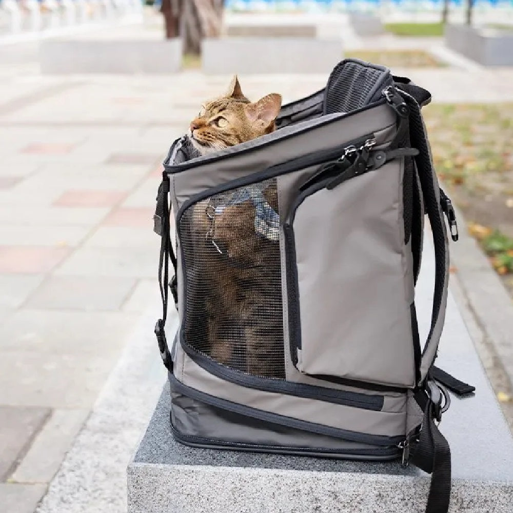Carrier for Pets - Image 5