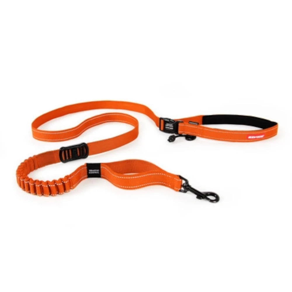 Road Runner Dog Leash - Image 4