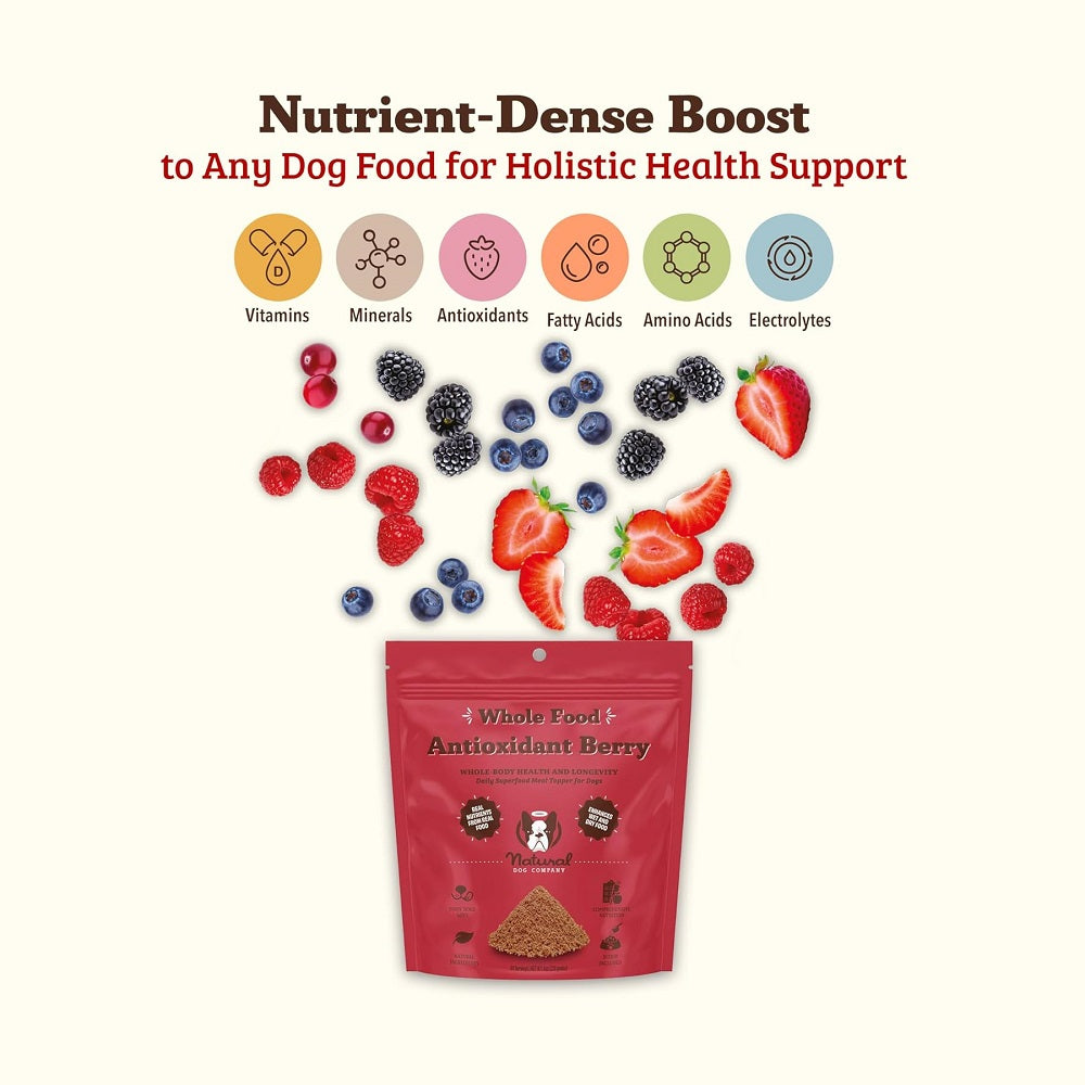 Nutrient-Dense Boost - Antioxidant Berry Dog Meal Topper - Image 2