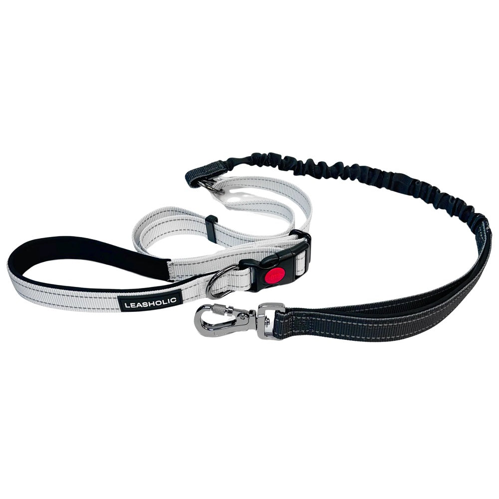 6 in 1 Multi-functional Hands-Free Dog Leash - Image 2
