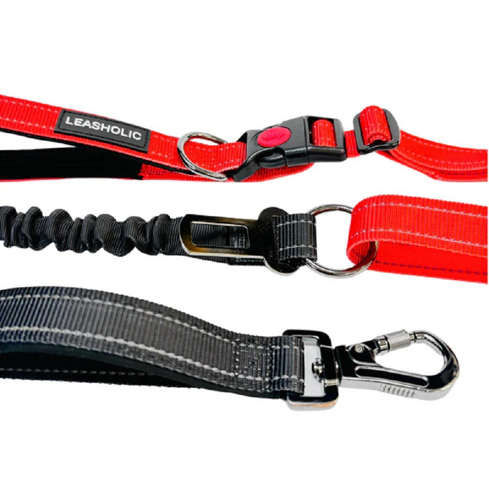 6 in 1 Multi-functional Hands-Free Dog Leash - Image 4