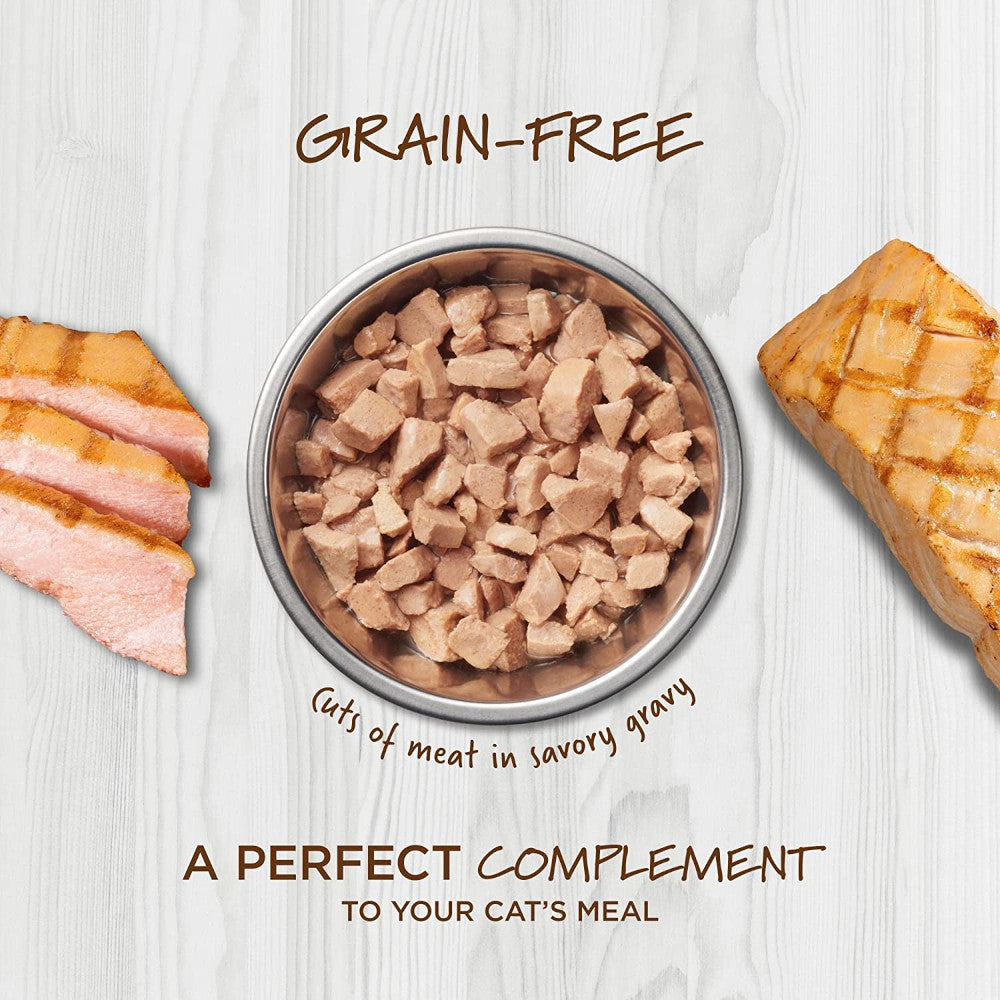 Healthy Cravings Grain Free Salmon Recipe Cat Pouch - Image 2