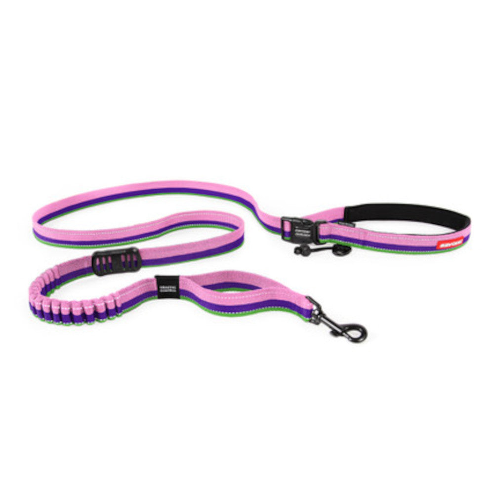 Road Runner Dog Leash - Image 15