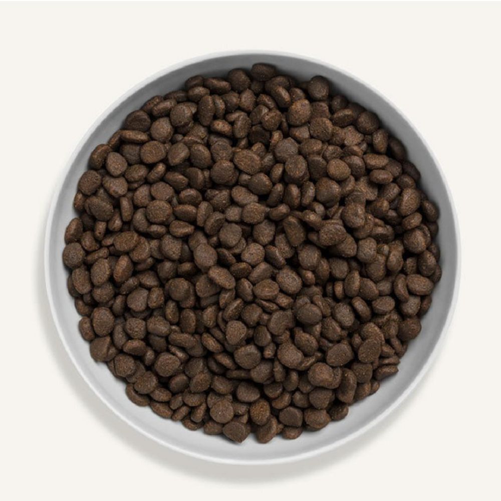 Grain Free Scottish Salmon Cat Dry Food - Image 3