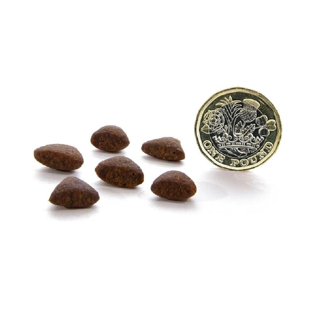 Grain Free Country Game Cat Dry Food - Image 3