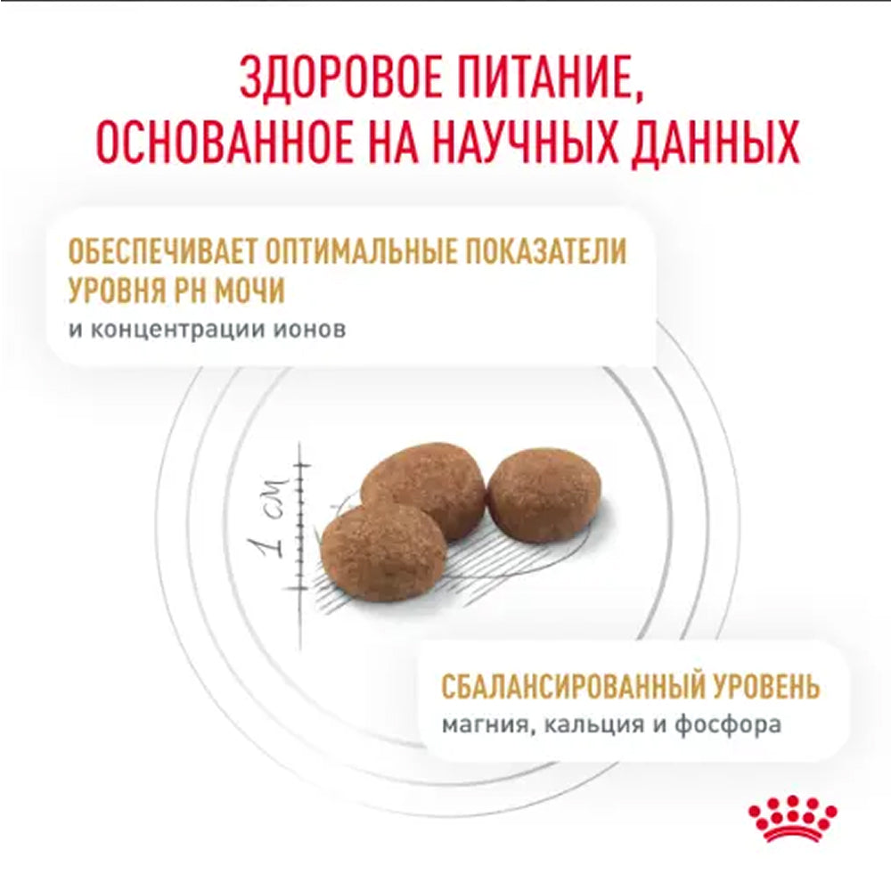 VHN Urinary S/O Adult Cat Dry Food - Image 3