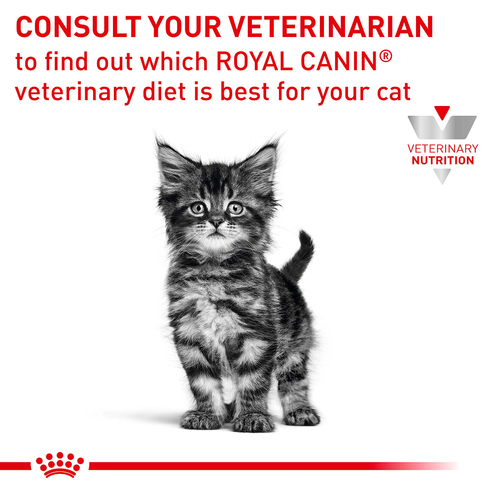 VHN G-I Kitten Cat Can - Image 2