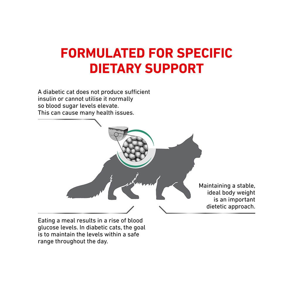 VHN Diabetic Adult Cat Dry Food - Image 2