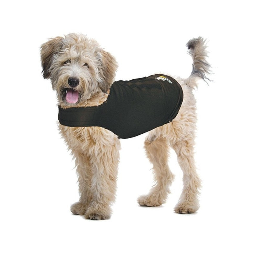 Calming Shirt for Dog - Image 3