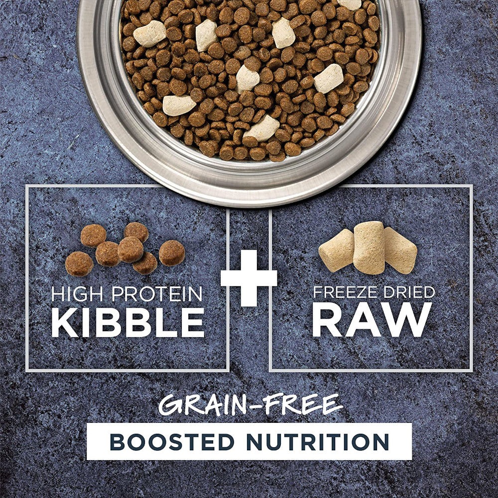 Raw Boost Grain Free Kibble Cat Dry Food - Salmon - Image 2