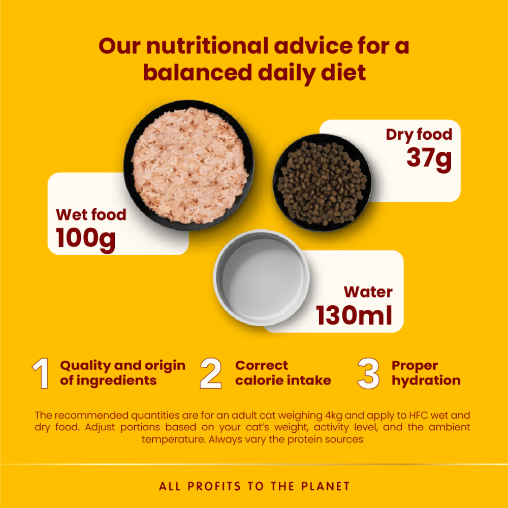 HFC Highly Appetizing Atlantic Tuna Cat Food - Image 4