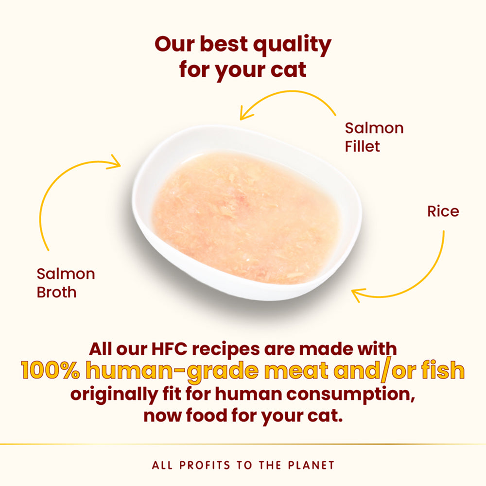 HFC Hydration Help Salmon Broth with Salmon Fillet Cat Food - Image 3