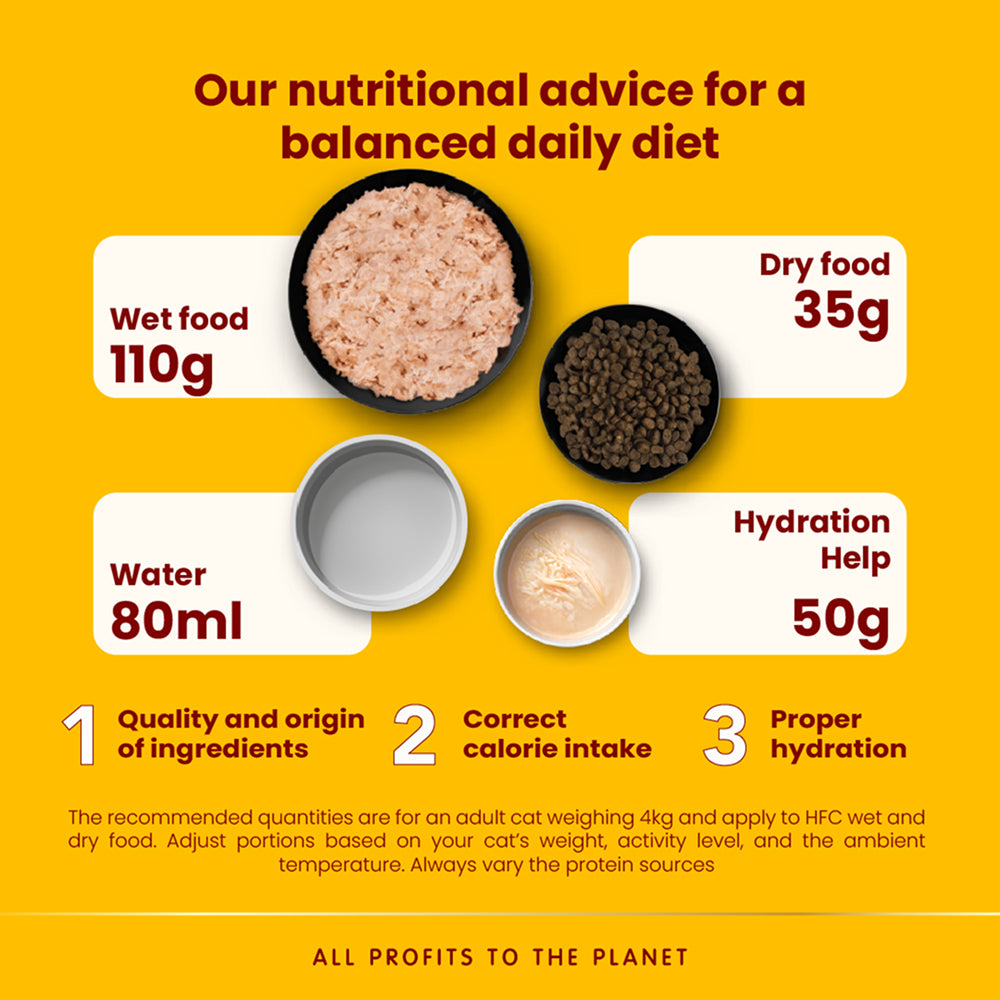 HFC Hydration Help Salmon Broth with Salmon Fillet Cat Food - Image 4