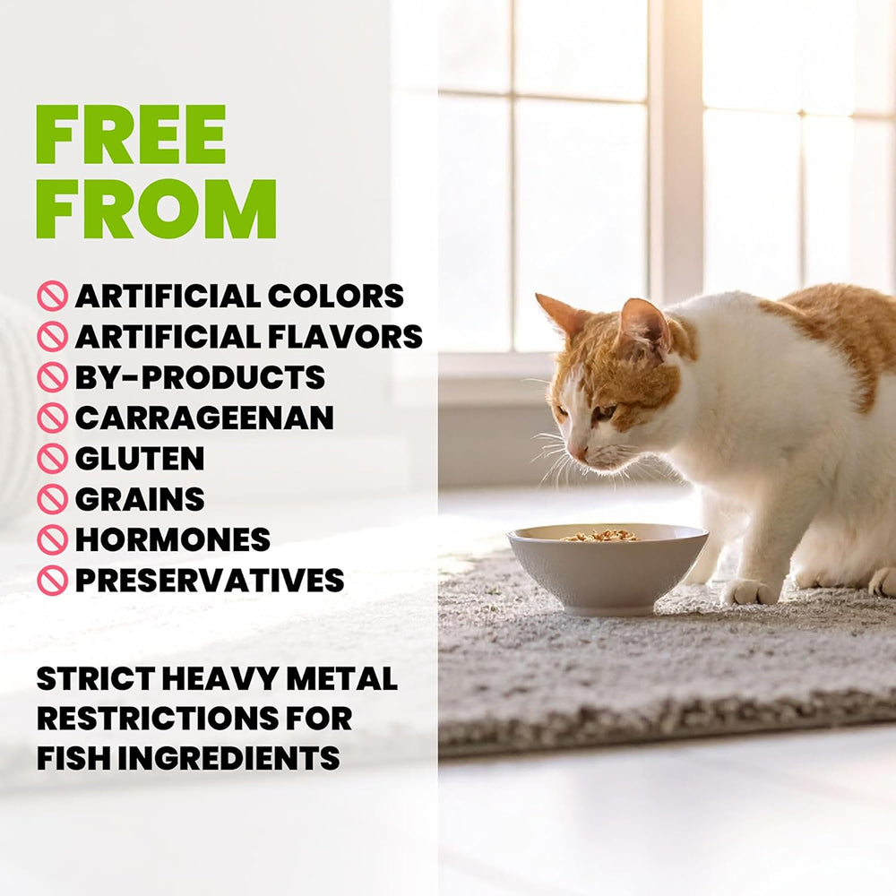 HQS Supportive Digestive Supportformula - Chicken Recipe With Pumpkin In Gravy Adult Cat Food - Image 3