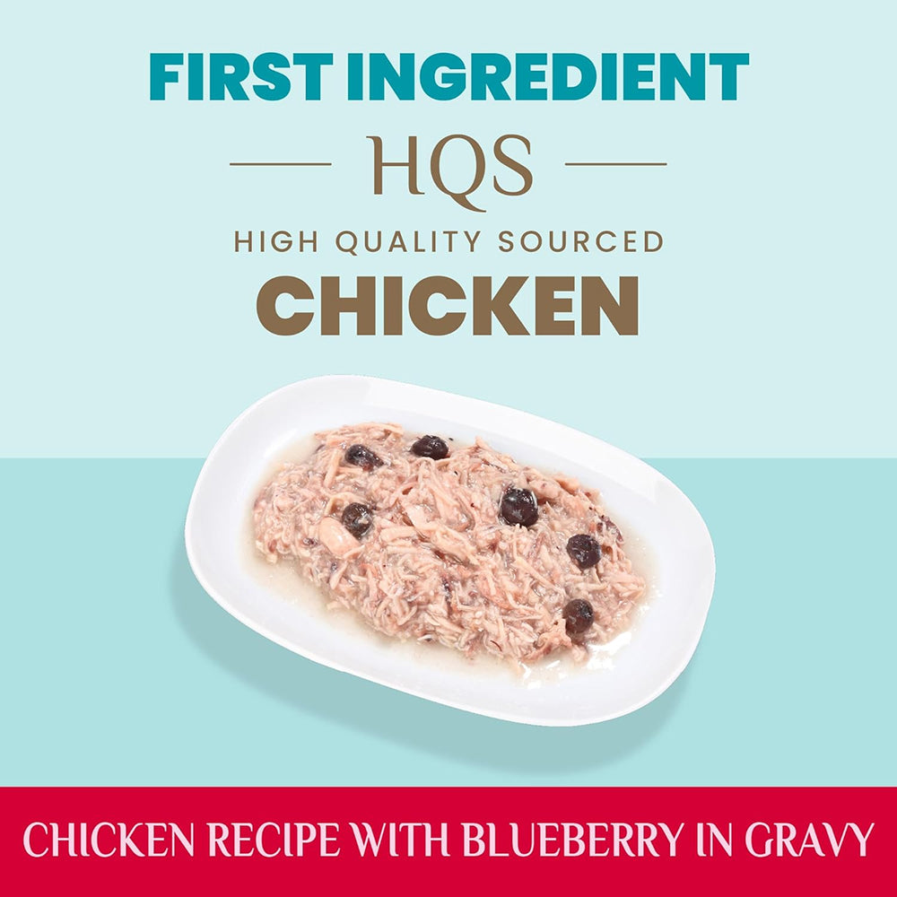 HQS Supportive Immune Support Formula - Chicken Recipe With Blueberry In Gravy Adult Cat Food - Image 4